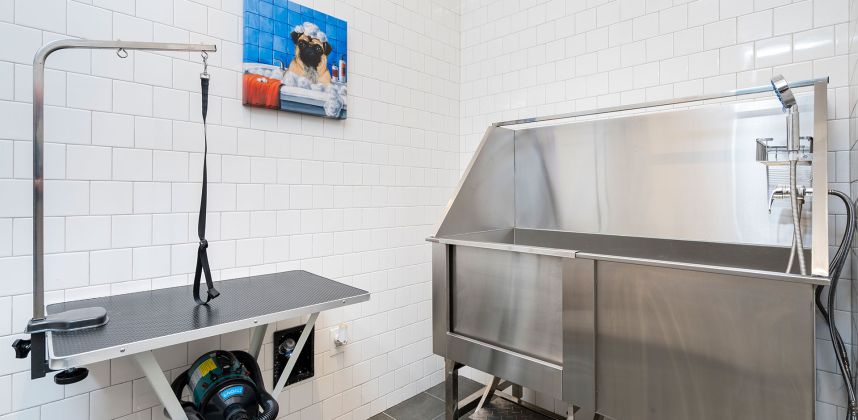 Pet-Friendly Community
